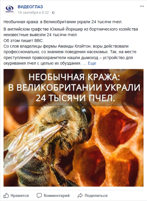 Screenshot-2017-9-22 (2) ВИДЕОГЛАЗ - Главная